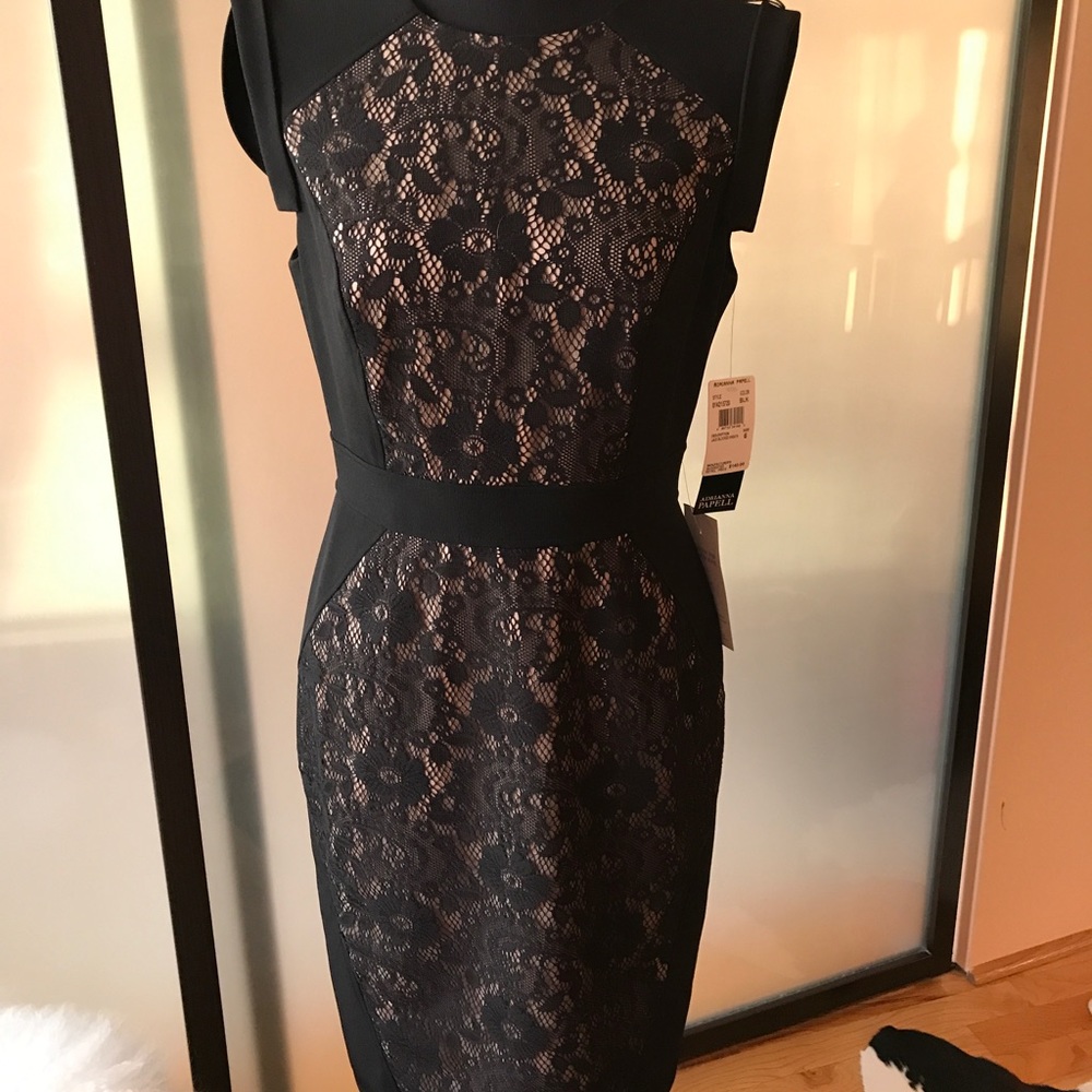 NWT lace Lord and Taylor dress